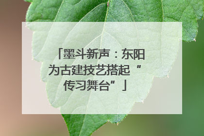 墨斗新声：东阳为古建技艺搭起“传习舞台”